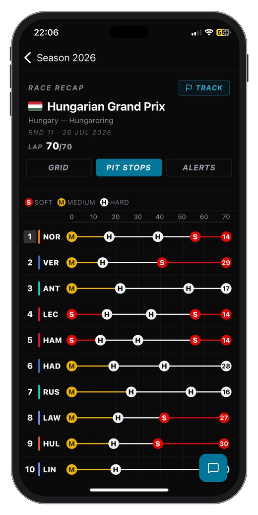 Track mode showing every pit stop of the race as one line per driver